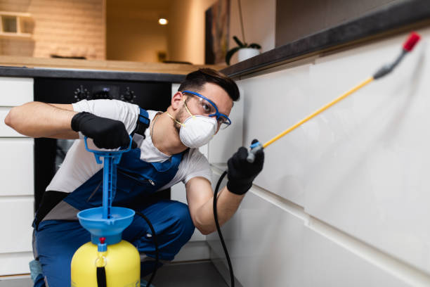 Flea Control Services in Orlinda, TN