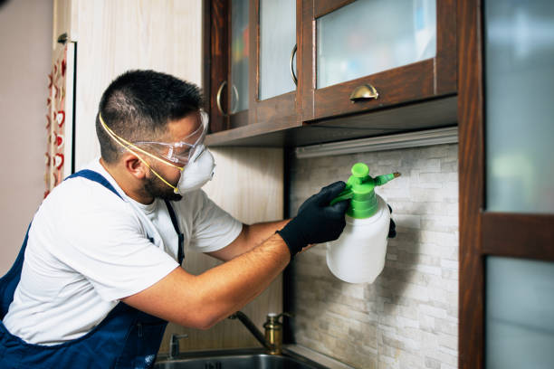 Best Local Pest Control Services  in Orlinda, TN