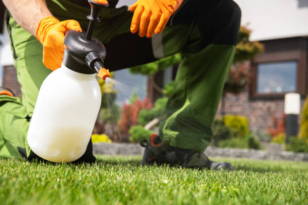 Best Wildlife Control Services  in Orlinda, TN