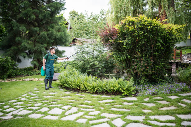 Pest Prevention Services in Orlinda, TN