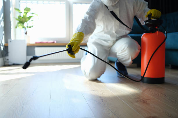 Best Pest Prevention Services  in Orlinda, TN