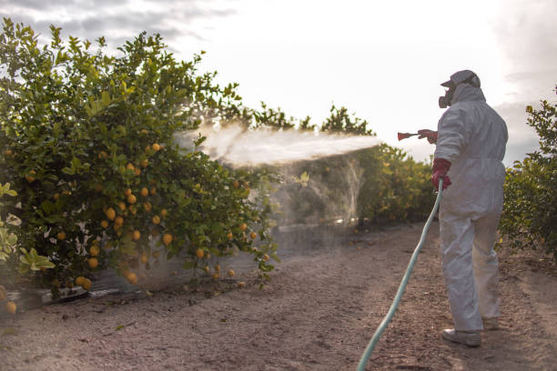Professional Pest Control in Orlinda, TN