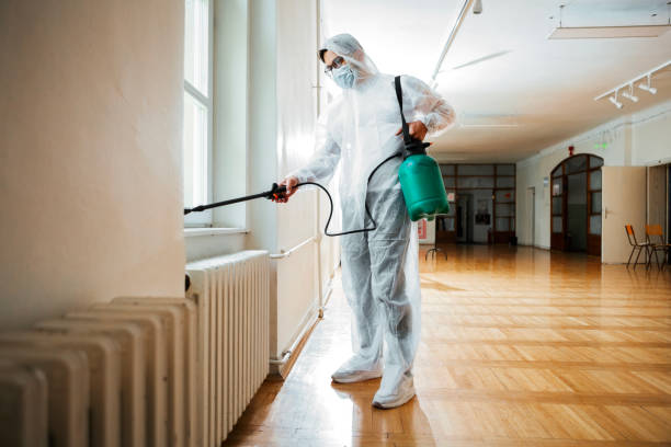 Best Wasp Removal Services  in Orlinda, TN